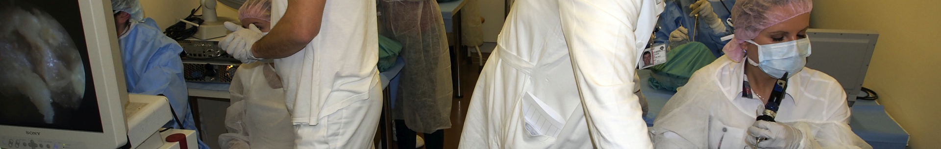 29.&nbsp;mezinárodní kurzu endoskopické endonazální chirurgie