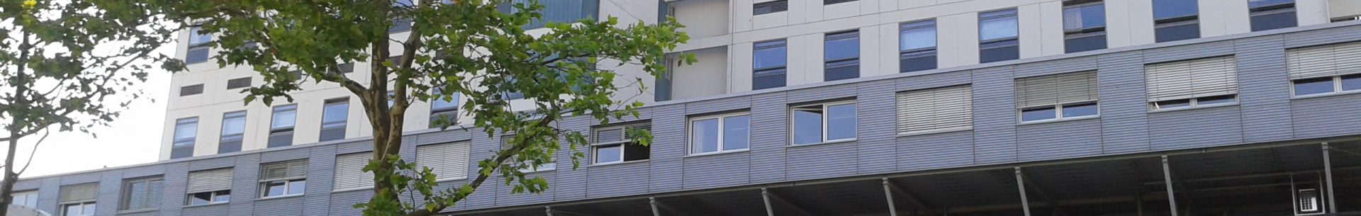 Stáž na ORL klinice ve Freibugu