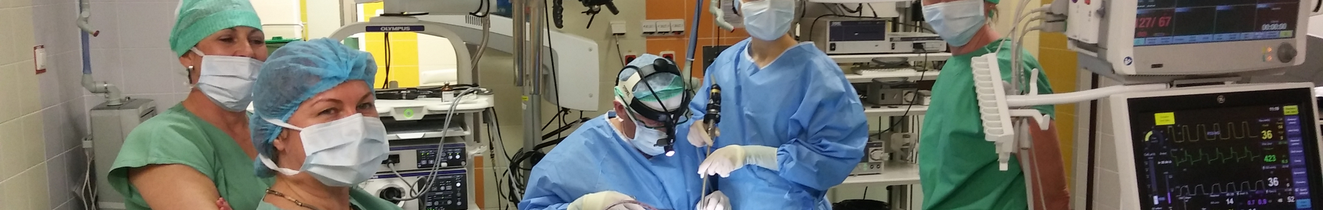 IPVZ kurz – Současné trendy v&nbsp;diagnostice a&nbsp;léčbě obstrukčního syndromu spánkové apnoe