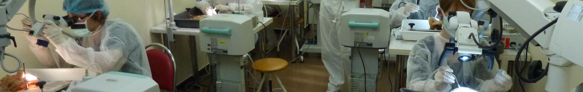 Otologický a&nbsp;otoneurologický kurz