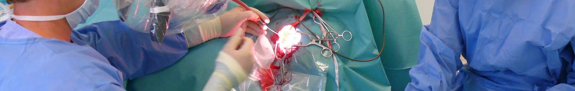 VIII. demonstrační kurz a&nbsp;seminář chirurgie středního ucha ve Svitavách