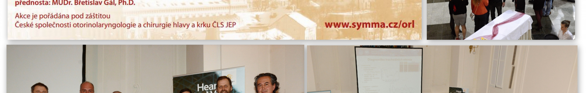 VI. brněnský ORL den