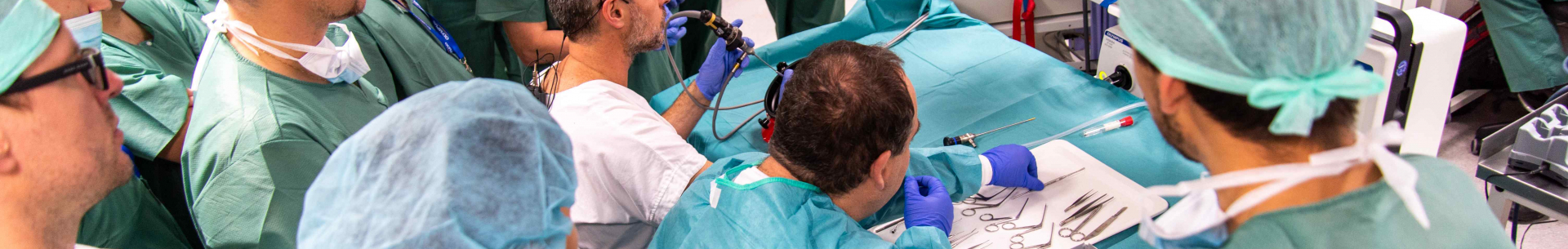 Central European Endoscopic Ear Surgery Course