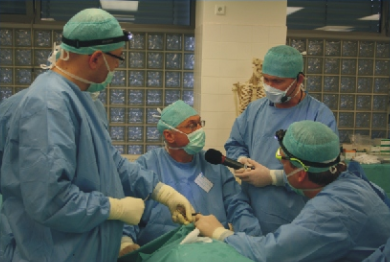 Preparační kurz ORL Chirurgie nosu a&nbsp;vedlejších nosních dutin