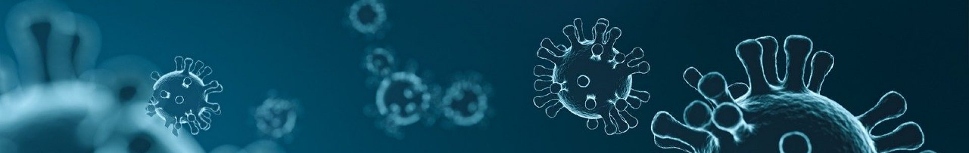 COVID-19 a&nbsp;ORL a&nbsp;chirurgie hlavy a&nbsp;krku v&nbsp;České republice