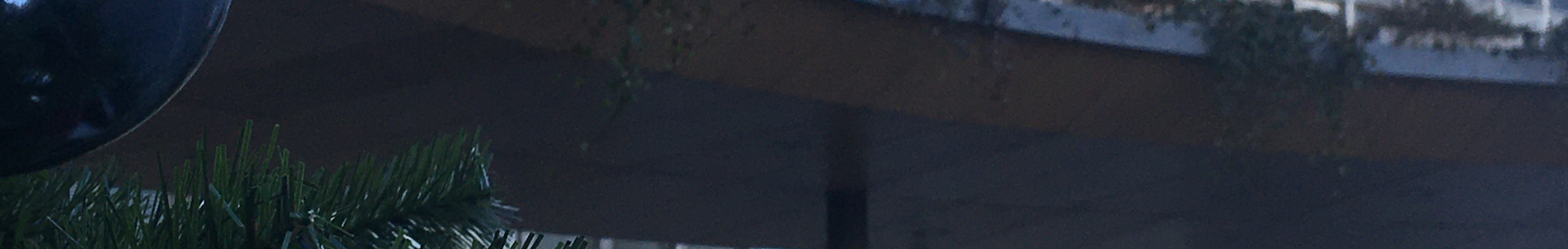 Stáž na ORL klinice v&nbsp;Ženevě