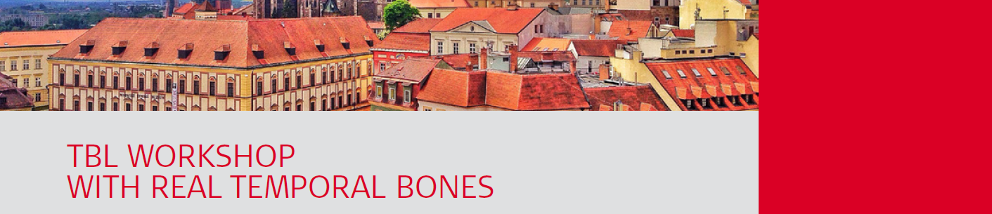TBL WORKSHOP WITH REAL TEMPORAL BONE