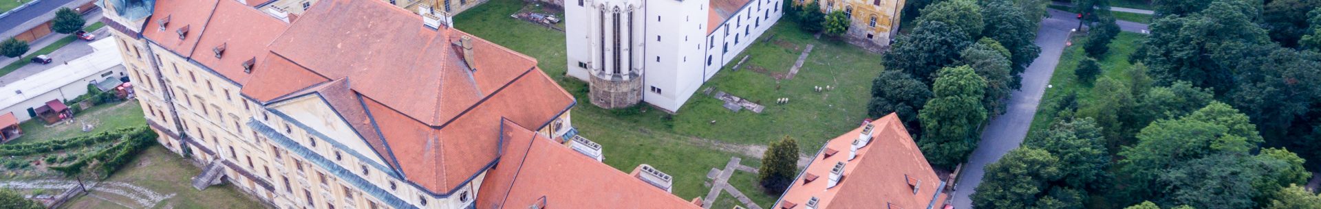 Zpráva z Konference České kooperativní skupiny pro nádory hlavy a&nbsp;krku