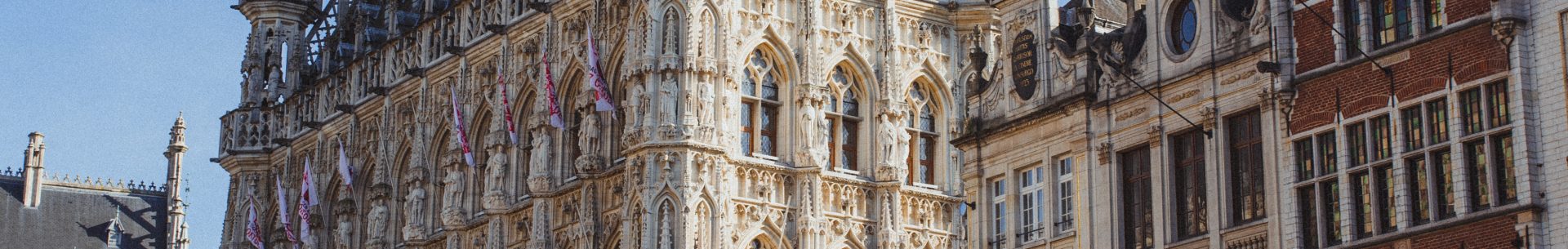 Dvoutýdenní stáž na ORL klinice v Leuvenu