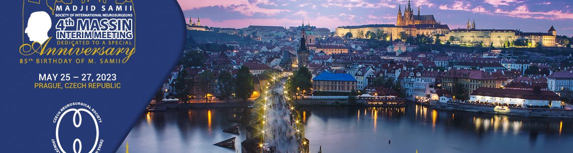 4th MASSIN Interim Meeting 2023 in Prague