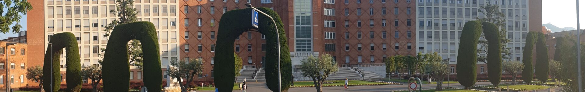 Stáž na Klinice ORL a&nbsp;chirurgie hlavy a&nbsp;krku v&nbsp;Brescii