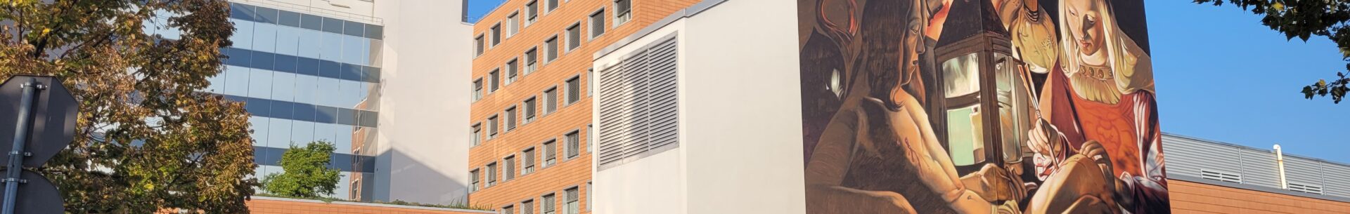 Dvoutýdenní stáž na ORL klinice v italském Varese