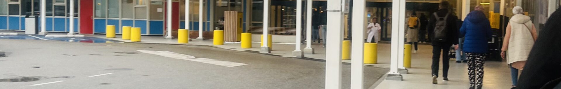 Zahraniční stáž v&nbsp;Holandsku