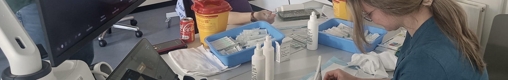 Kurz ultrazvuku hlavy a&nbsp;krku v&nbsp;dánském Aalborgu