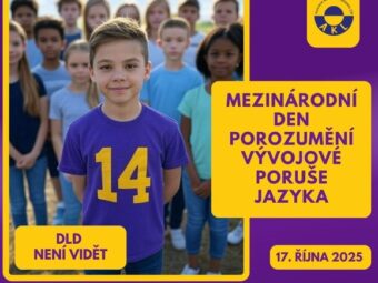 Snímek obrazovky 2025 09 08 181616