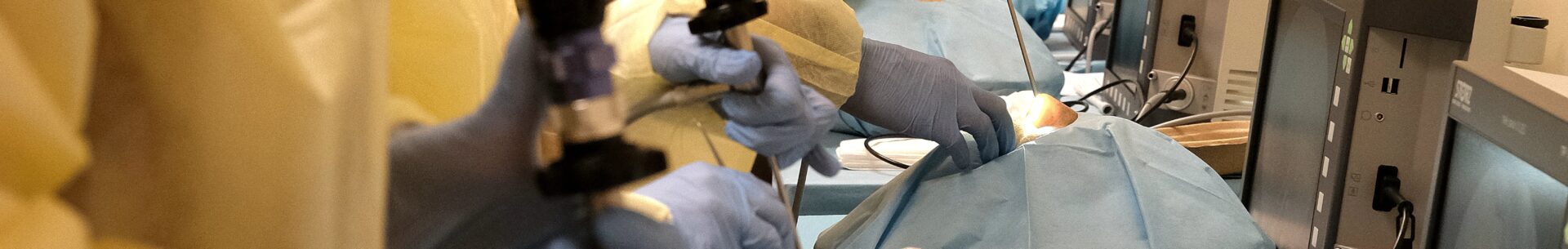 37.&nbsp;mezinárodní kurz endoskopické endonazální chirurgie