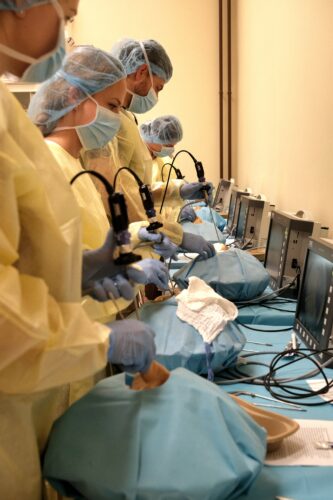 FESS kurz 2025 disekce