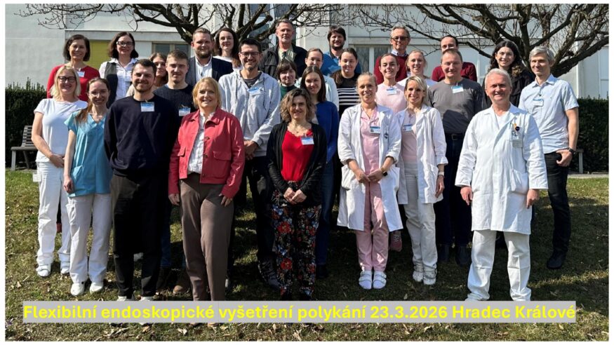 260323 kurz FEES page 0001