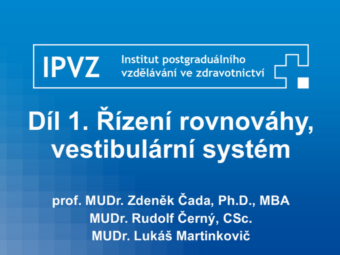 Snímek obrazovky 2026 06 11