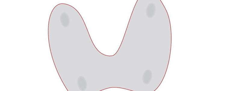 5th Hamm Thyroid Course